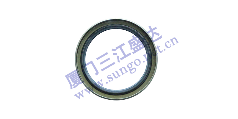 影響油封正常運(yùn)轉(zhuǎn)的因素有哪些？